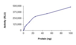 Sino Biological&nbsp;Recombinant Human EGFR Protein (A763_Y764insFQEA, GST Tag), Active